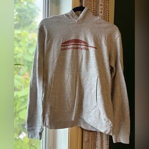 Gray chlorophyll hoodie • comfortable & casual